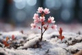 a small pink flower is growing out of the ground in the snow Royalty Free Stock Photo