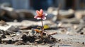 a small pink flower is growing out of a pile of rubble