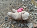A small pink panda doll lying on the ground