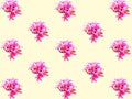 Small pink plumeria flowers pattern, isolated Royalty Free Stock Photo