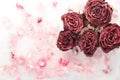 Small pink roses frozen in ice. Natural ice background with flowers of roses.