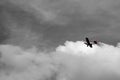 small plane doing pirouettes in the cloudy sky Royalty Free Stock Photo