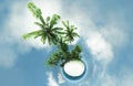 Small planet, ocean, tropical island, palm trees 3D illustration Royalty Free Stock Photo