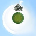 Small Planet with Single Tree