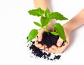 Small plant cupped in child's hands Royalty Free Stock Photo