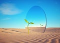 Small plant in the desert in front of a mirror. Start up and confidence concept