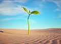Small plant in the desert. Start up and confidence concept