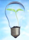 Small plant growing inside a lightbulb. Light Bulb with sprout inside. Green energy and environmental conservation concept Royalty Free Stock Photo