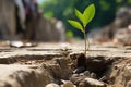 a small plant is growing out of a crack in the ground Royalty Free Stock Photo