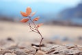 a small plant growing out of a pile of rocks