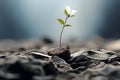 a small plant is growing out of a pile of rocks