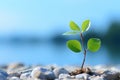 a small plant growing out of a rock on a beach Royalty Free Stock Photo