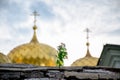 A small plant against the background of the domes of the Church and the sky Royalty Free Stock Photo