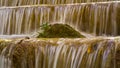 Small plant over stream waterfall in tropical jungle Royalty Free Stock Photo