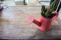 A small plant pot displayed in the window Royalty Free Stock Photo