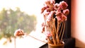 A small plant pot displayed in the window. Bouquet of flowers near window Royalty Free Stock Photo