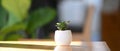 A small plant in pot pot on wooden desk near the window. Royalty Free Stock Photo