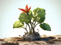 Small plant with red flowers, growing in dirt. It is placed on top of some rocks and appears to be rooted in ground Royalty Free Stock Photo