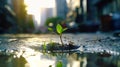 A small plant is seen sprouting from the asphalt on a city street, symbolizing natures resilience in an urban environment Royalty Free Stock Photo