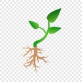 Small plant soybean icon, cartoon style