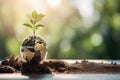 Small plant thrives in closed glass globe terrarium Royalty Free Stock Photo