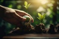 Small plant thrives in closed glass globe terrarium Royalty Free Stock Photo