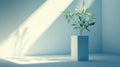 A small plant in a white vase sits on a light blue floor, casting a shadow on the wall. Royalty Free Stock Photo