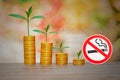 small plants with coins stacked with no smoking sign Royalty Free Stock Photo