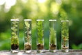 Small plants test tube garden. Generate Ai