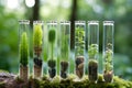 Small plants test tube. Generate Ai