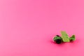 Small plastic airplane with copy space on pink background Royalty Free Stock Photo