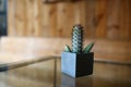 A small plastic cactus In a cube-shaped pot on the table top is a glass with a stainless steel edge. There is a blurred wooden