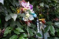 Small plastic pacifiers hanging from the plants