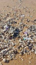 Plastic waste and micro plastic washed on the shore of the atlantic ocean