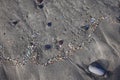 Microplastics on a beach. Famara Beach, Lanzarote