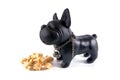 A small plastic toy dog with rawhide bones isolated on the white bac Royalty Free Stock Photo