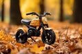 A small plastic toy motorcycle at autumnal park