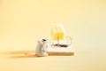 Small plasticine gray mouse looks at a piece of cheese in a mousetrap