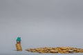 Small plasticine house model placed on a column made from coins next to a pile of coins, on gray background