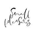 Small pleasures. Hand drawn modern brush lettering. Typography banner. Ink vector illustration.