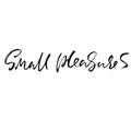 Small pleasures. Hand drawn modern brush lettering. Typography banner. Ink vector illustration.