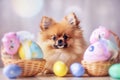 Pomeranian dog lying down between baskets with Easter eggs. Generative AI Royalty Free Stock Photo