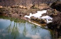 Small pond in an apple orchard in the mountains Royalty Free Stock Photo