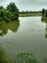 Small pond around rice field Royalty Free Stock Photo