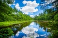 Small pond at Bear Brook State Park, New Hampshire. Royalty Free Stock Photo
