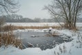 A small pond, covered in a blanket of snow, is nestled among a forest of trees, A frozen pond surrounded by snowy fields, AI