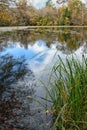 Pond at Bogue Chitto State Park, Louisiana