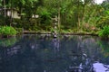 Small pond with fish at the Balinese temple