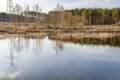 A small pond in the forest with a visible reflection of the sky on the water surface and overgrown with rushes. Royalty Free Stock Photo