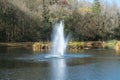 A small pond and geyser in a Florida community Royalty Free Stock Photo